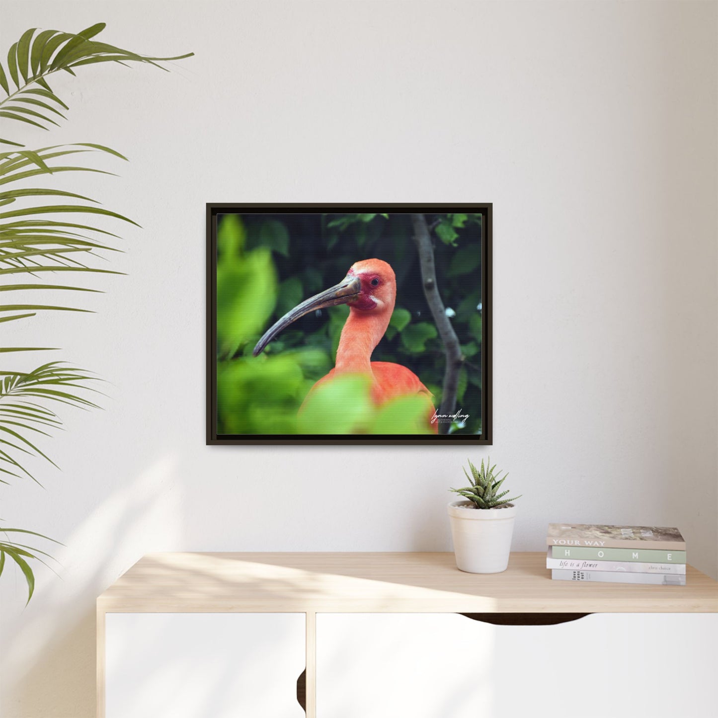 Wanna Be Flamingo - Switzerland