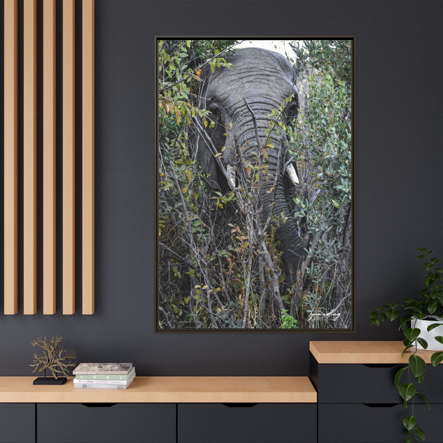 Eye to Eye - South Africa