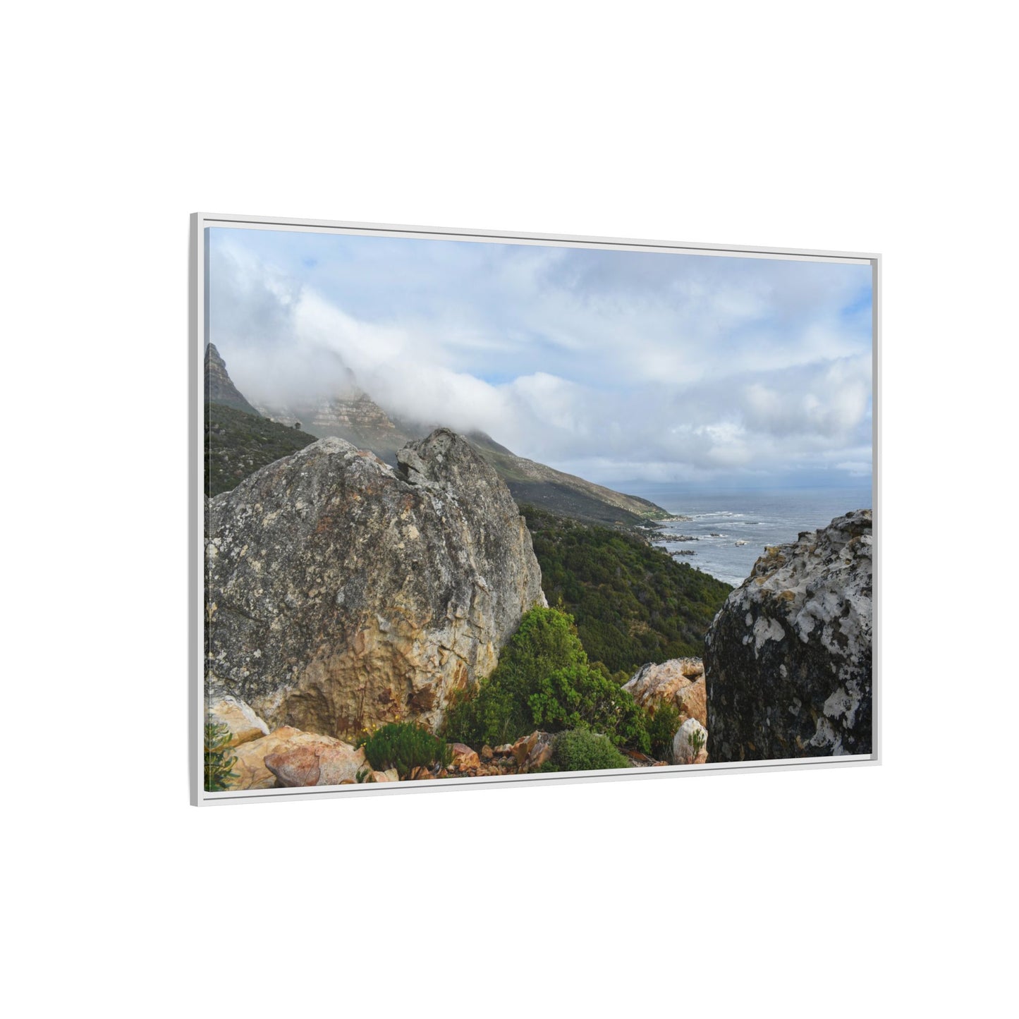 The View - Cape Town