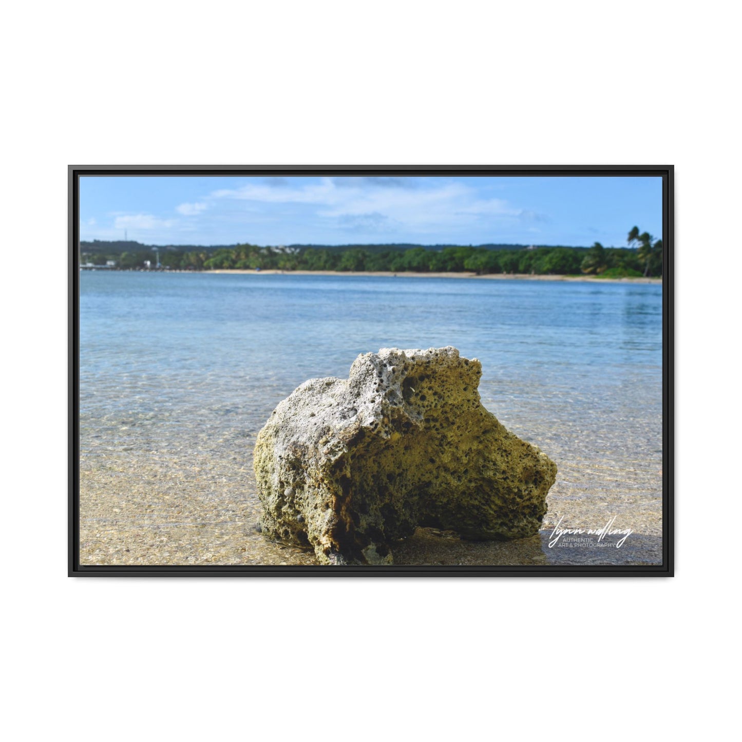 The View - Puerto Rico