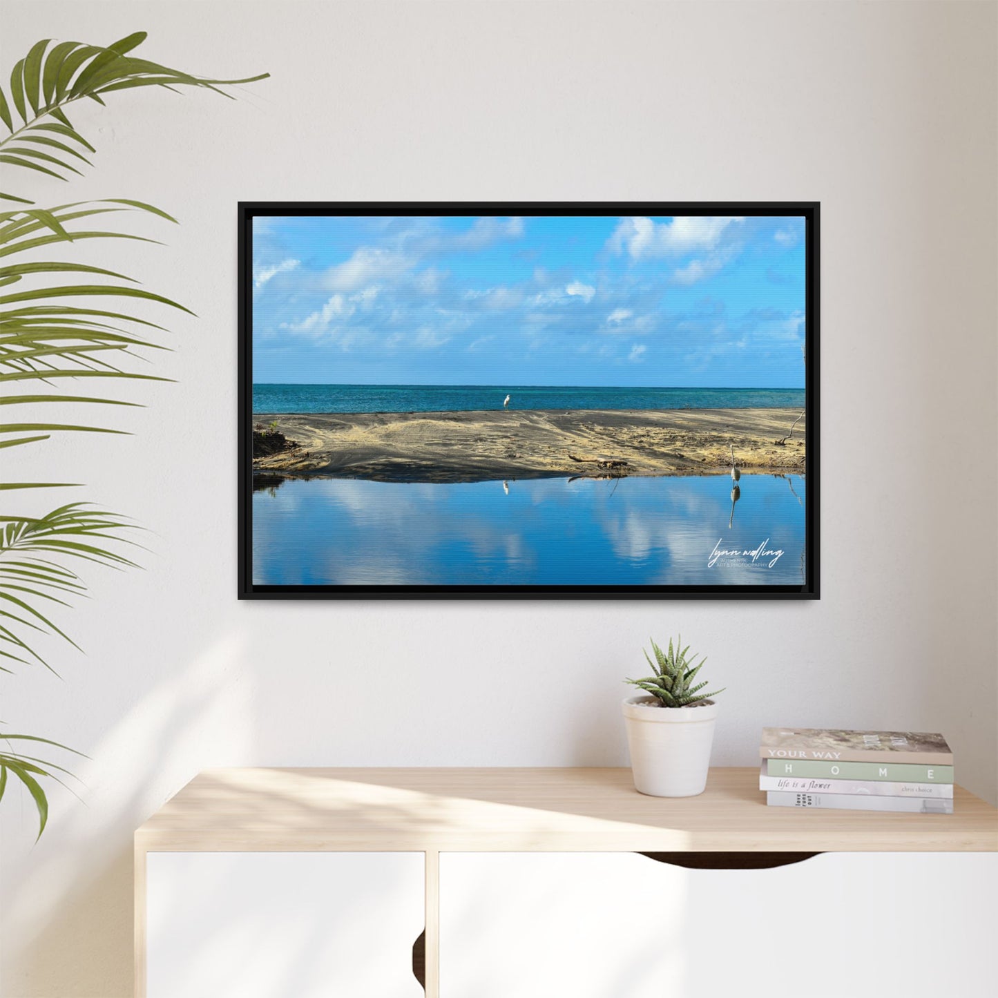 Wading - Puerto Rico