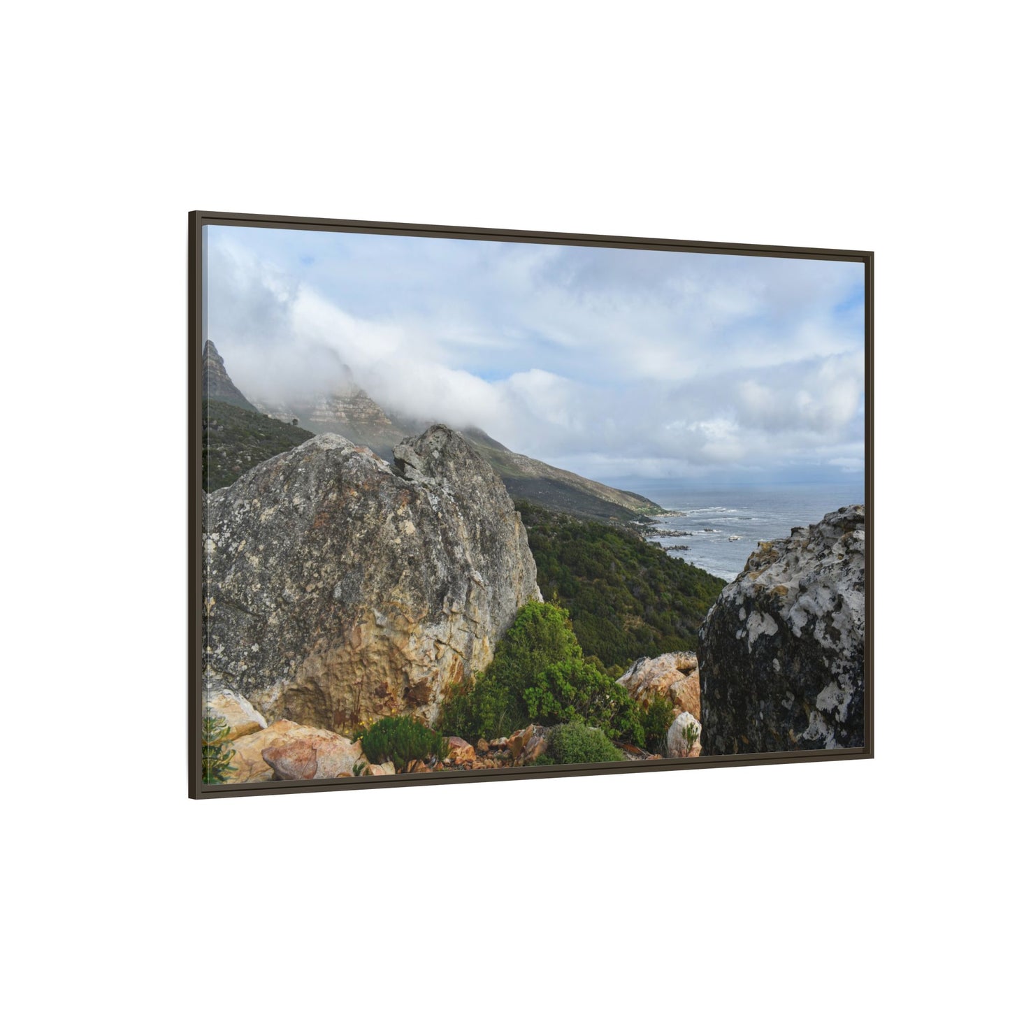 The View - Cape Town