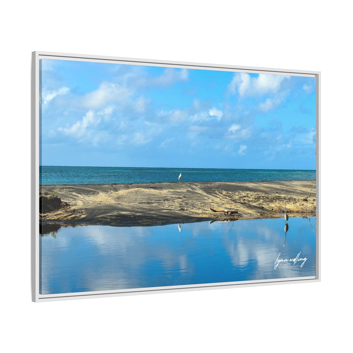 Wading - Puerto Rico