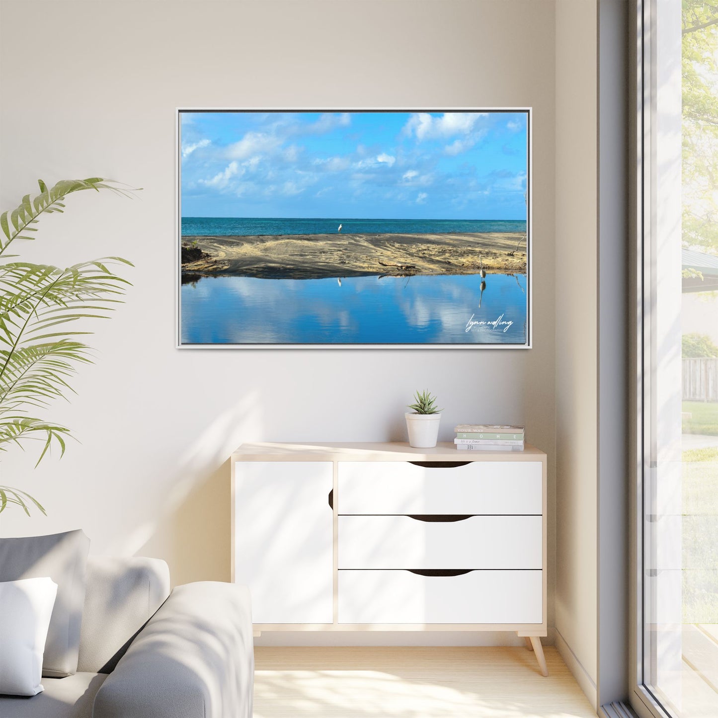 Wading - Puerto Rico