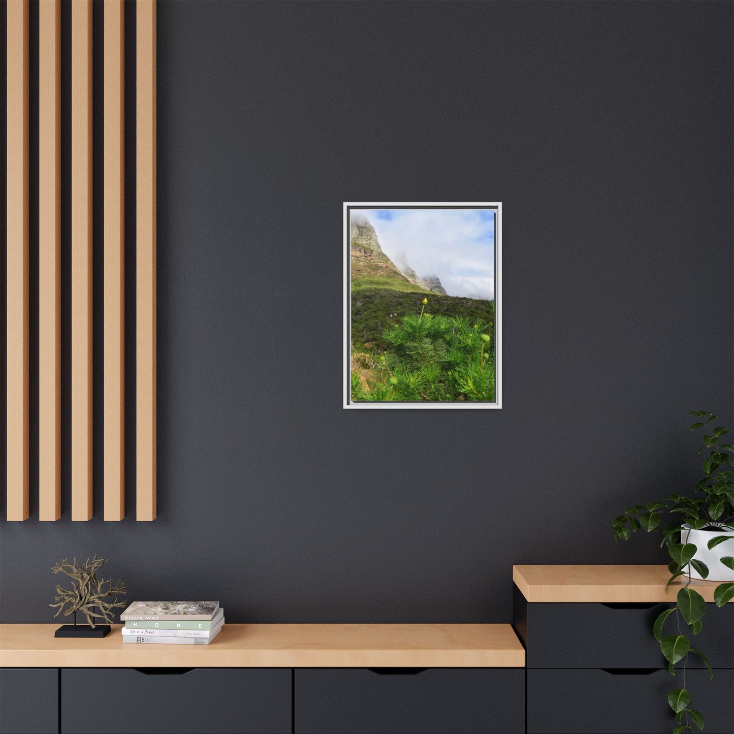 Wildflower - Capetown