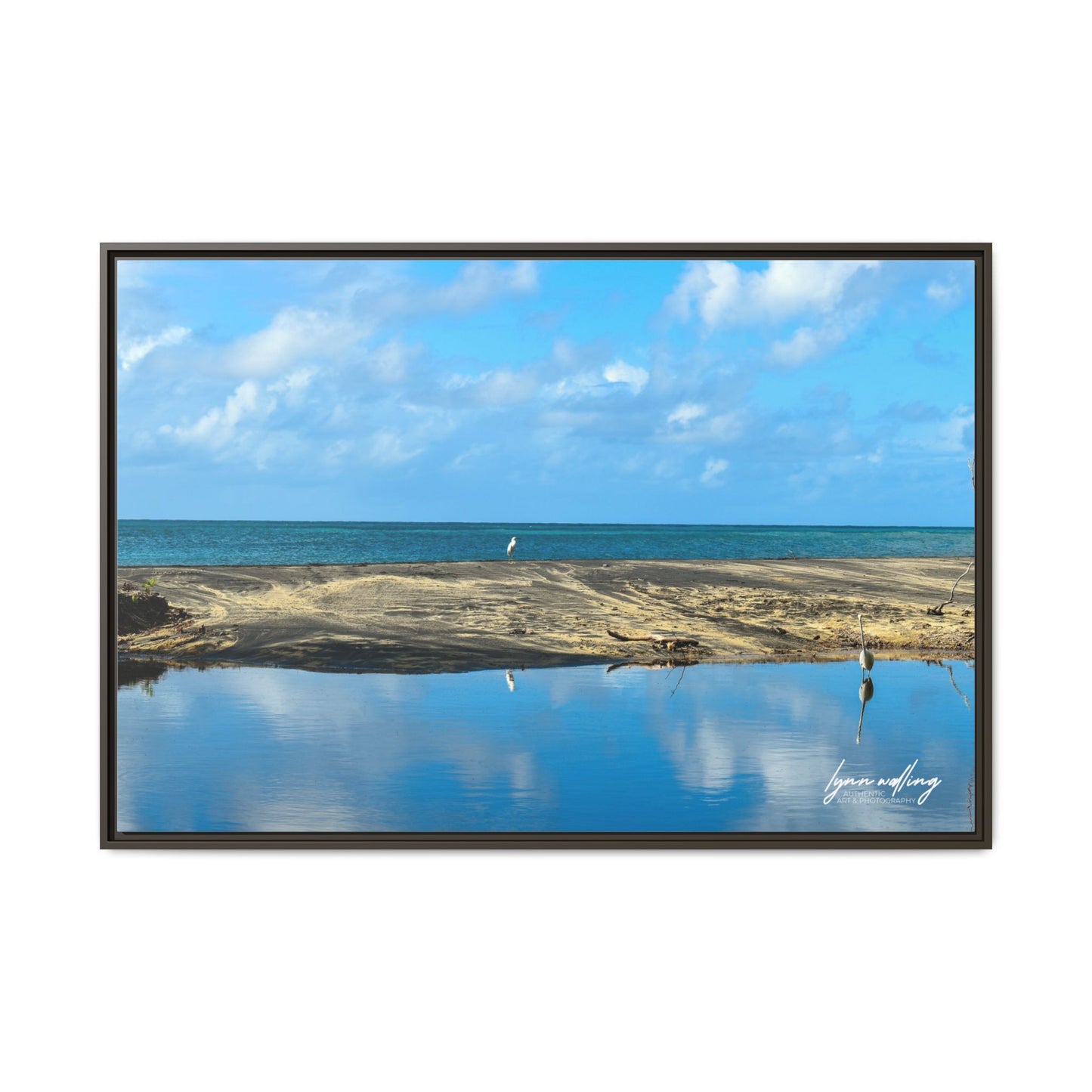 Wading - Puerto Rico