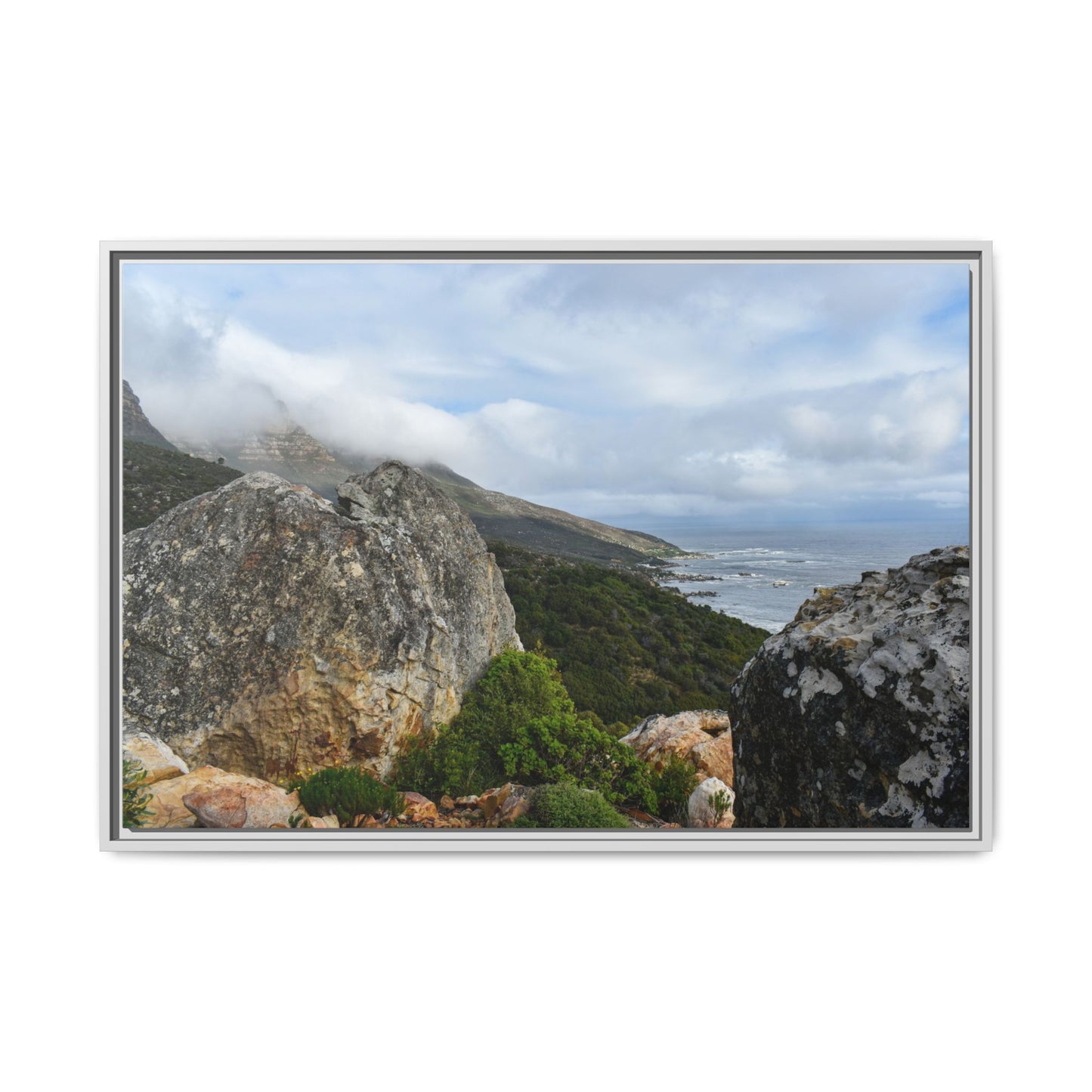 The View - Cape Town