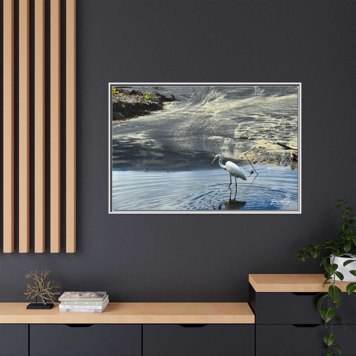 Lagoon Hunting - Puerto Rico