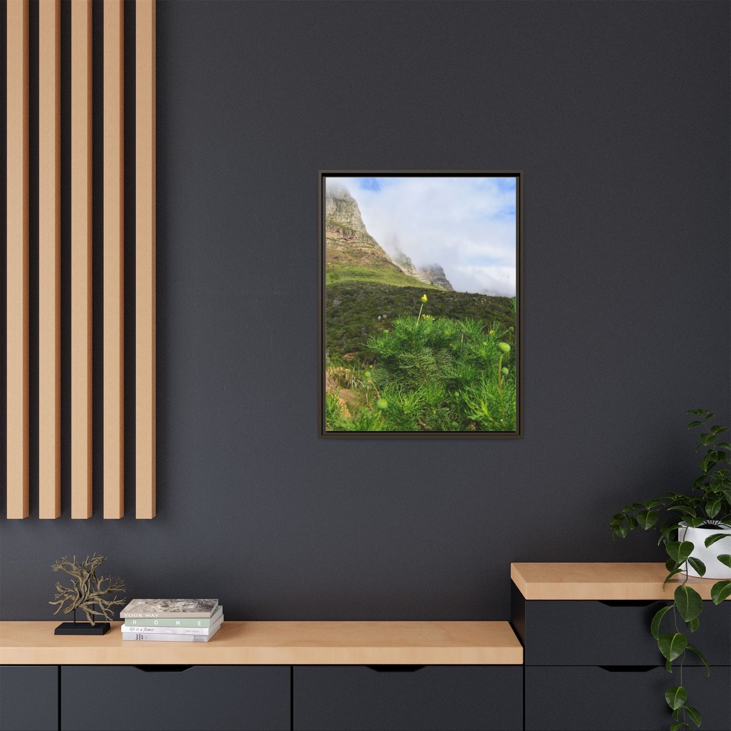 Wildflower - Capetown