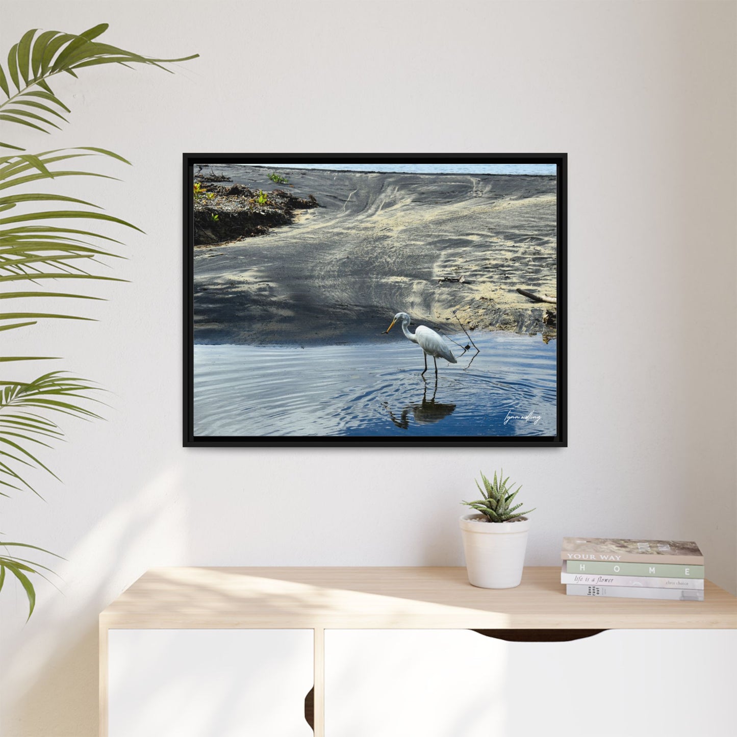 Lagoon Hunting - Puerto Rico