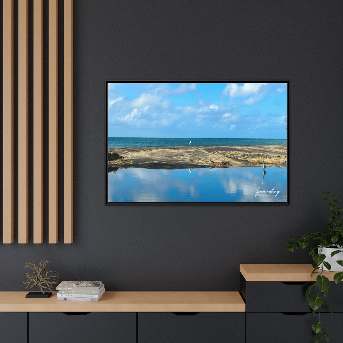 Wading - Puerto Rico