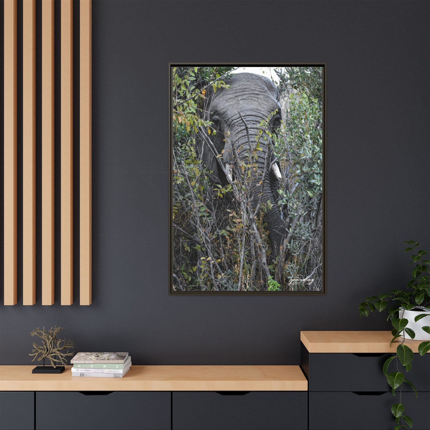 Eye to Eye - South Africa