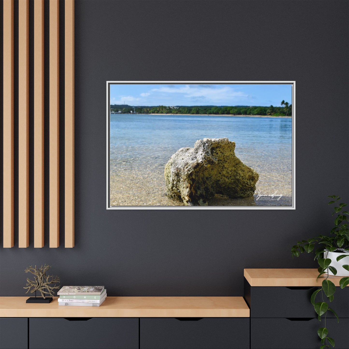 The View - Puerto Rico