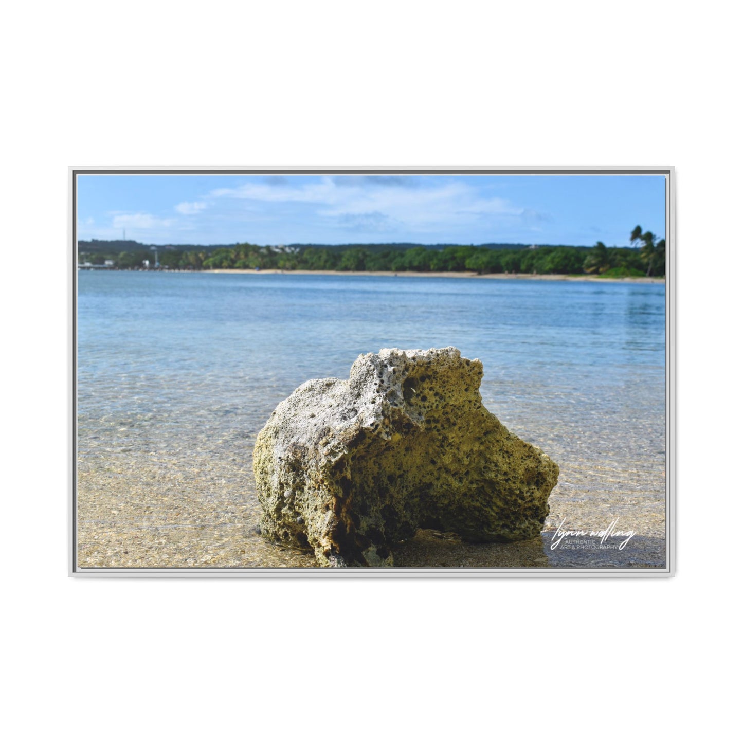 The View - Puerto Rico