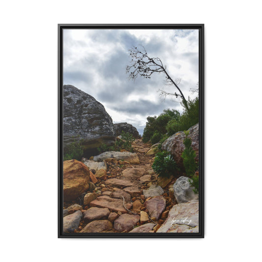 Path to Nowhere - Capetown