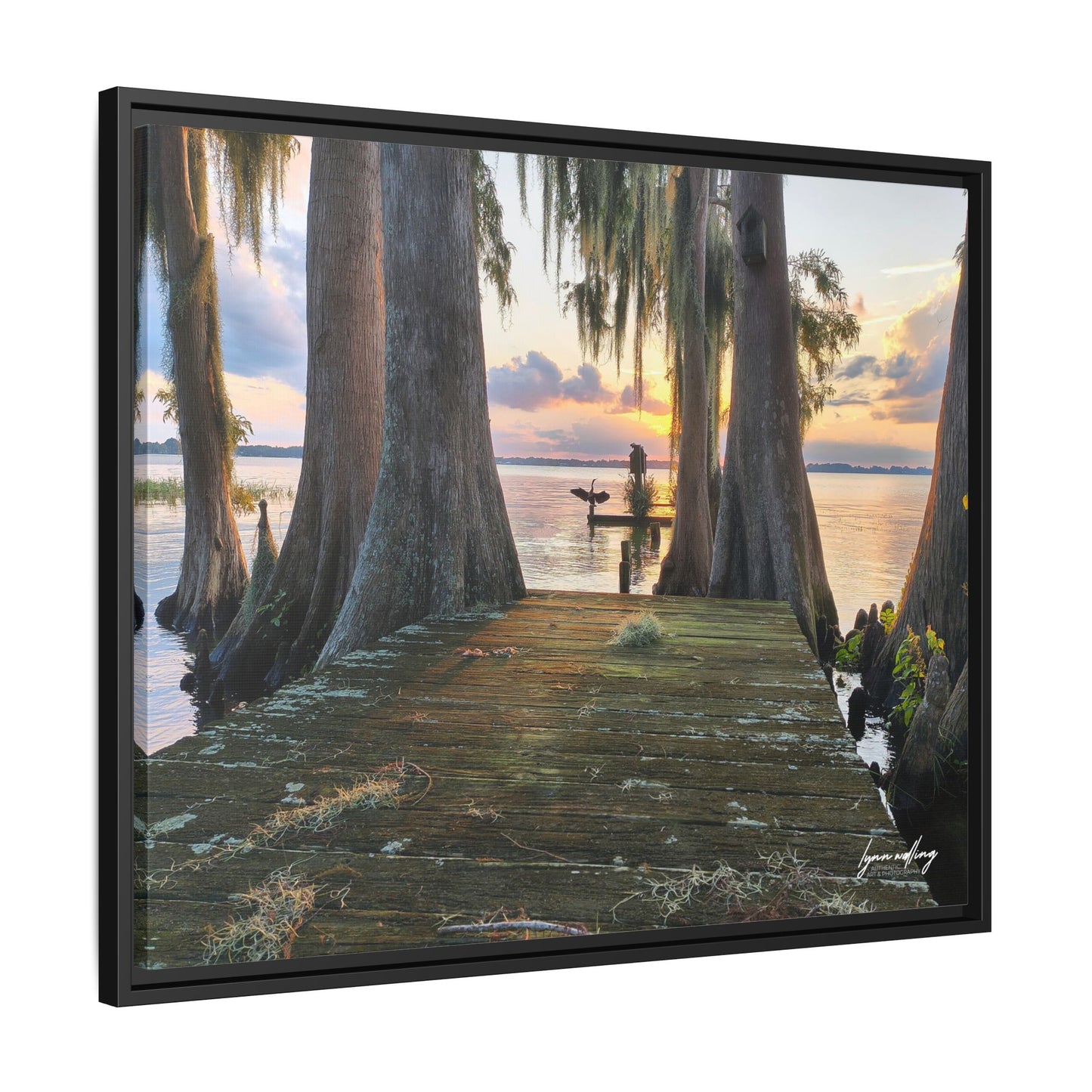 Eloise Sunset - Lakeland