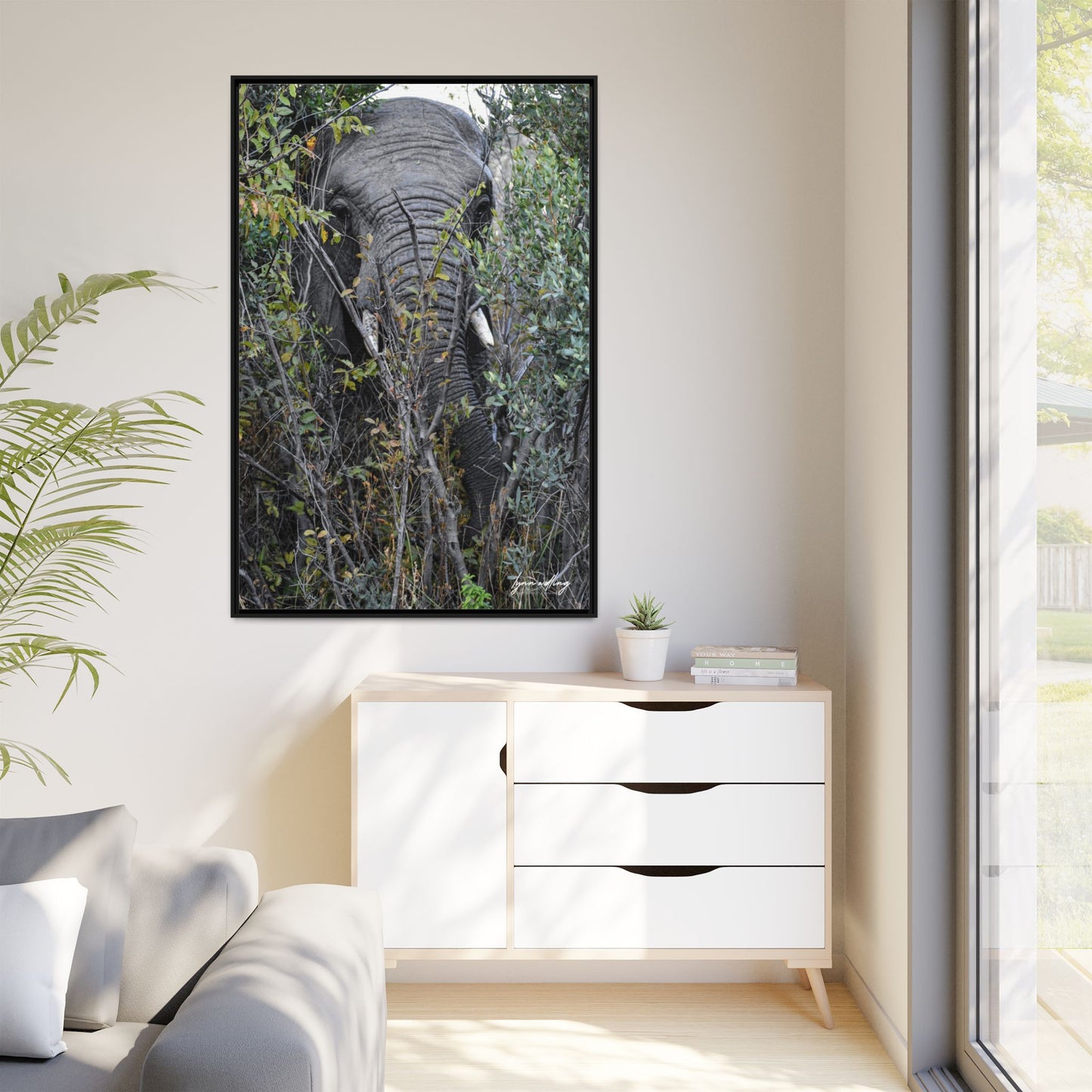 Eye to Eye - South Africa