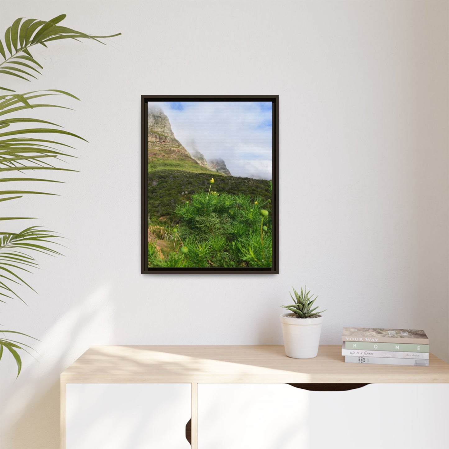 Wildflower - Capetown