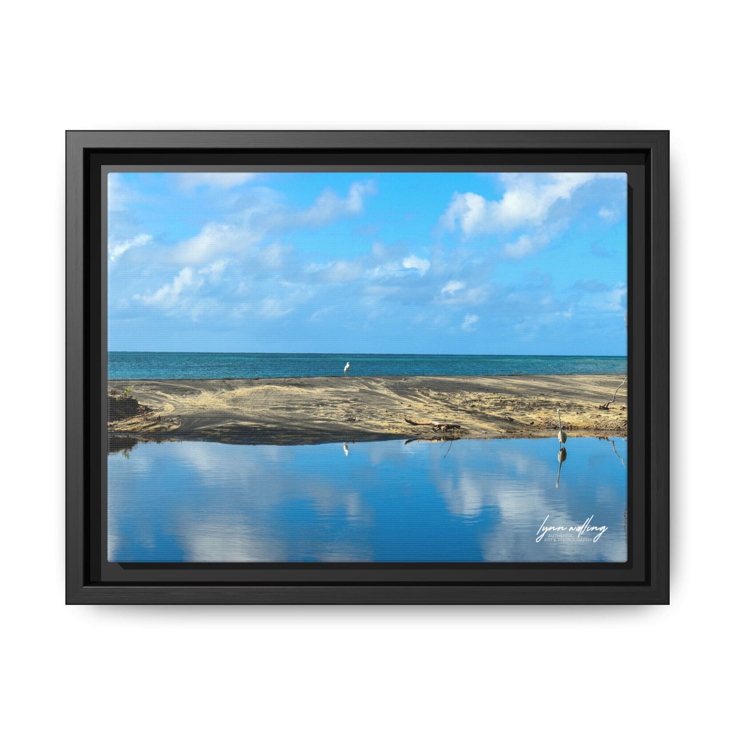 Wading - Puerto Rico