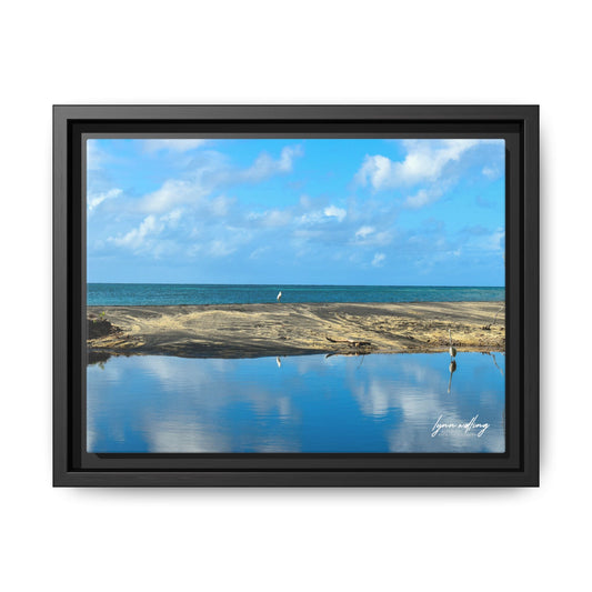 Wading - Puerto Rico