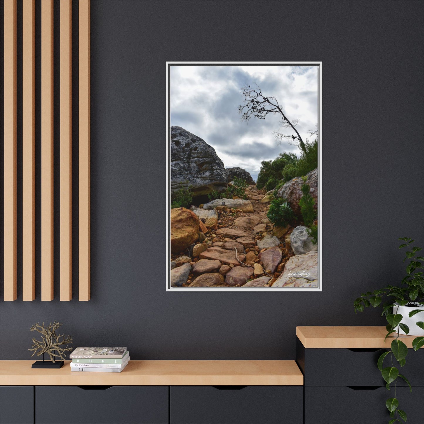 Path to Nowhere - Capetown