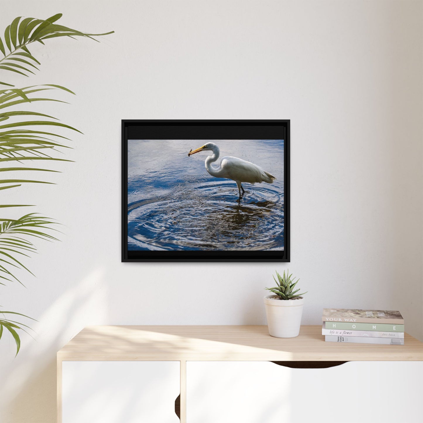 Hunting - Puerto Rico