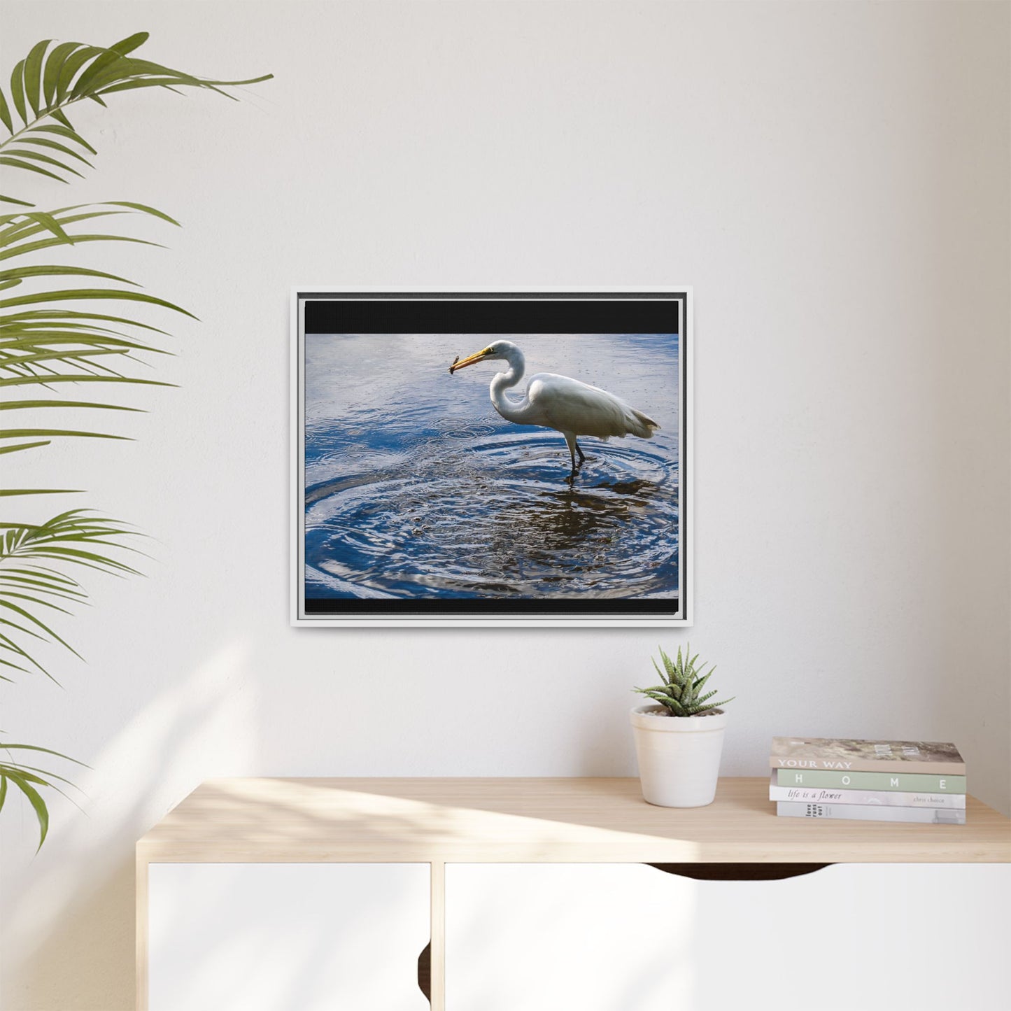 Hunting - Puerto Rico