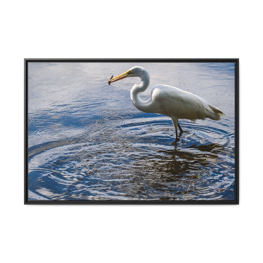 Hunting - Puerto Rico