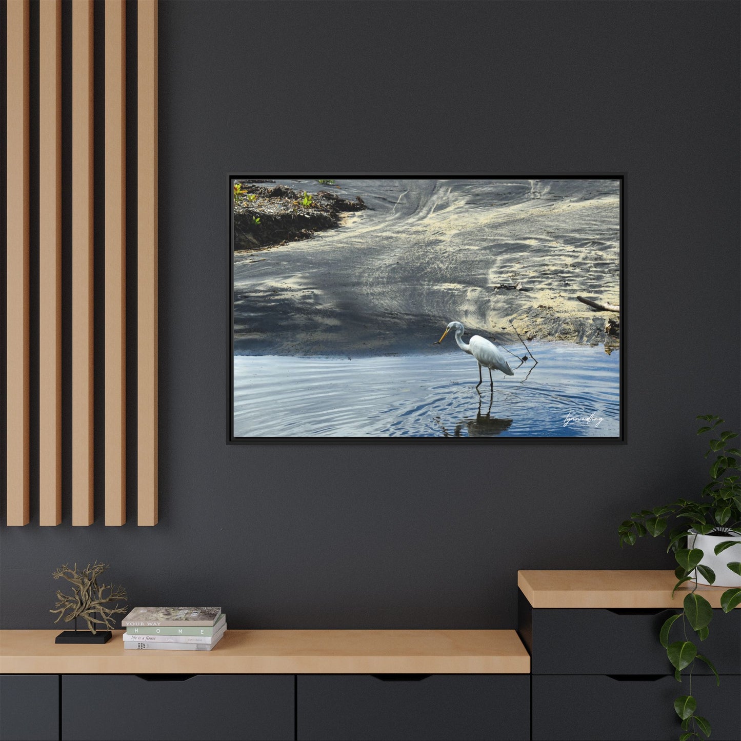 Lagoon Hunting - Puerto Rico