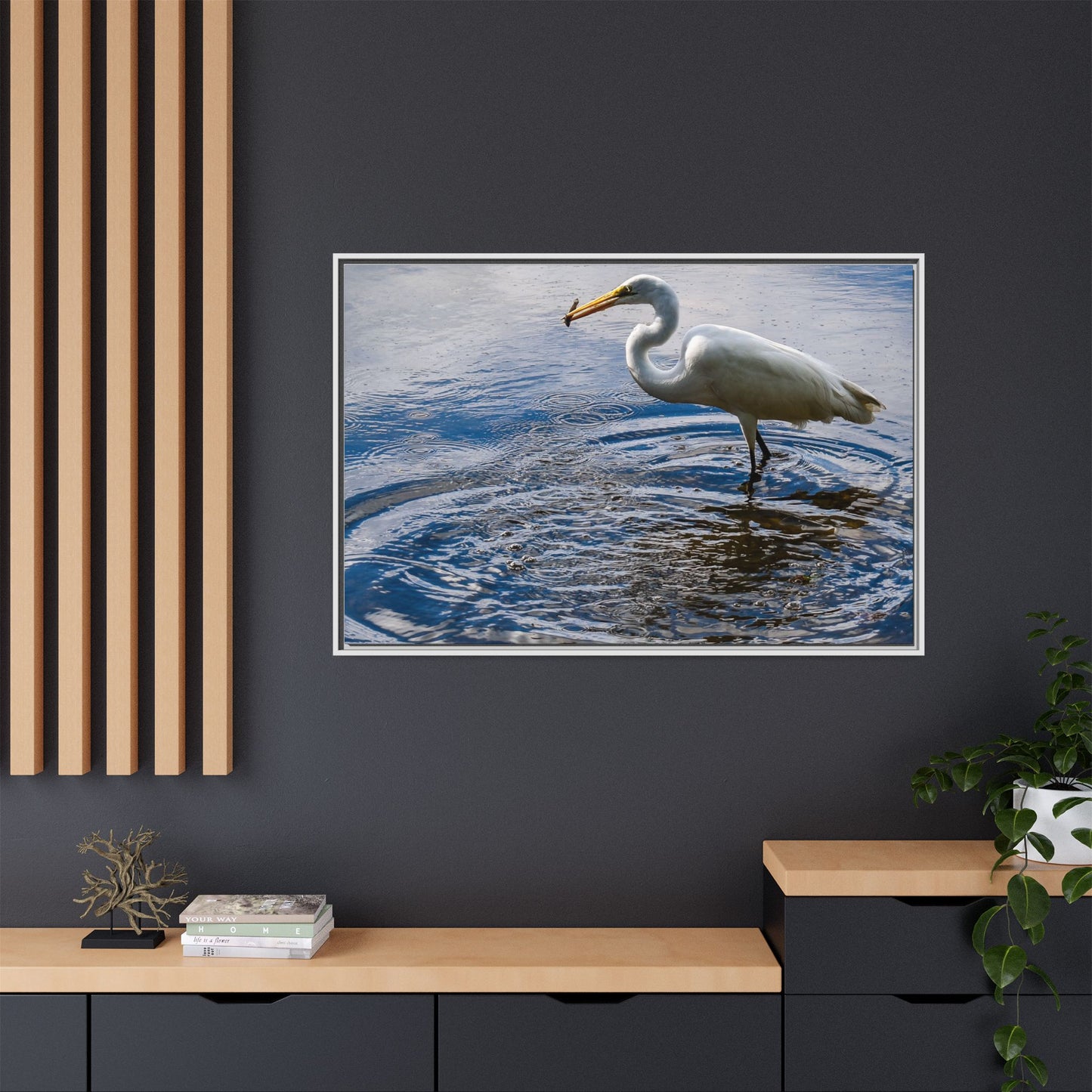 Hunting - Puerto Rico