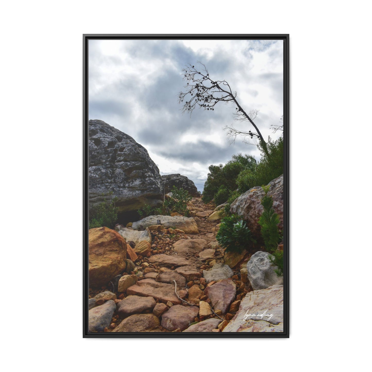 Path to Nowhere - Capetown