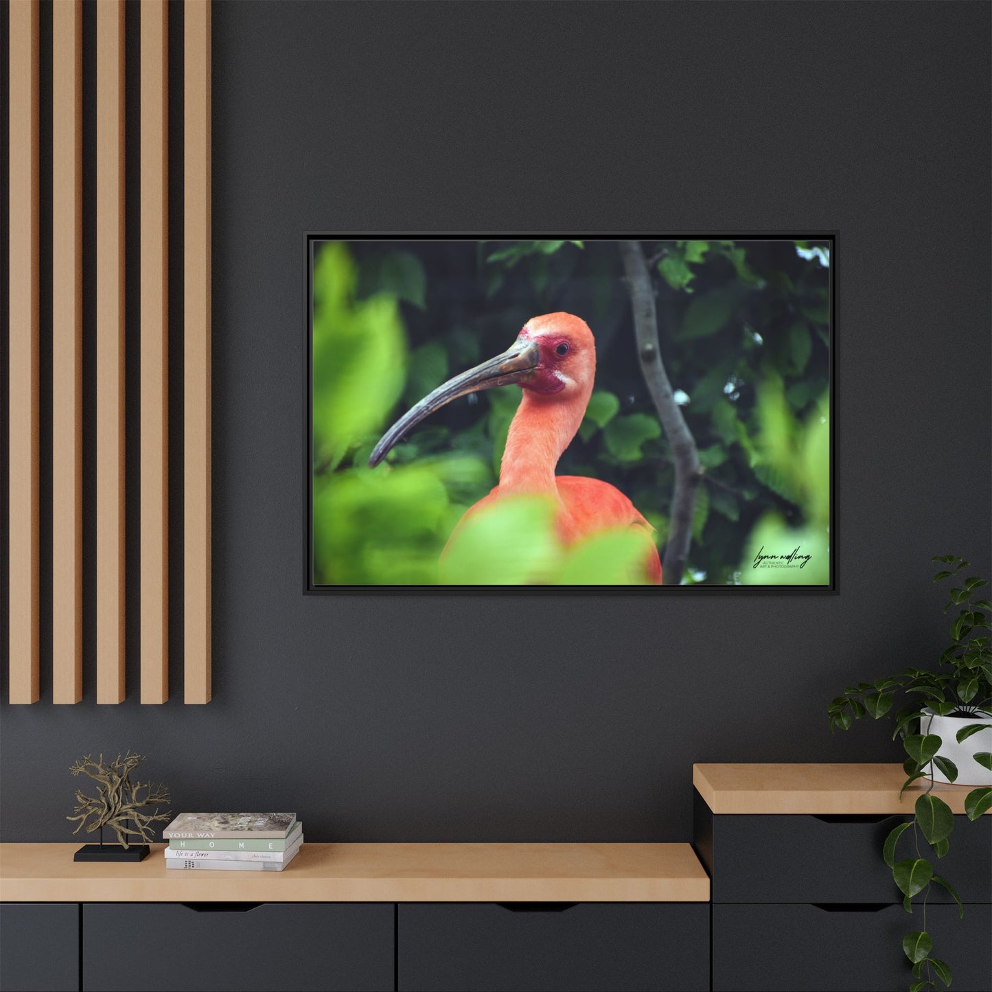 Wanna Be Flamingo - Switzerland