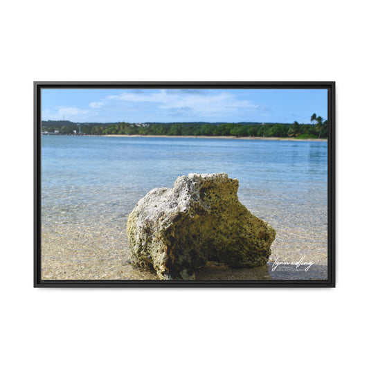 The View - Puerto Rico