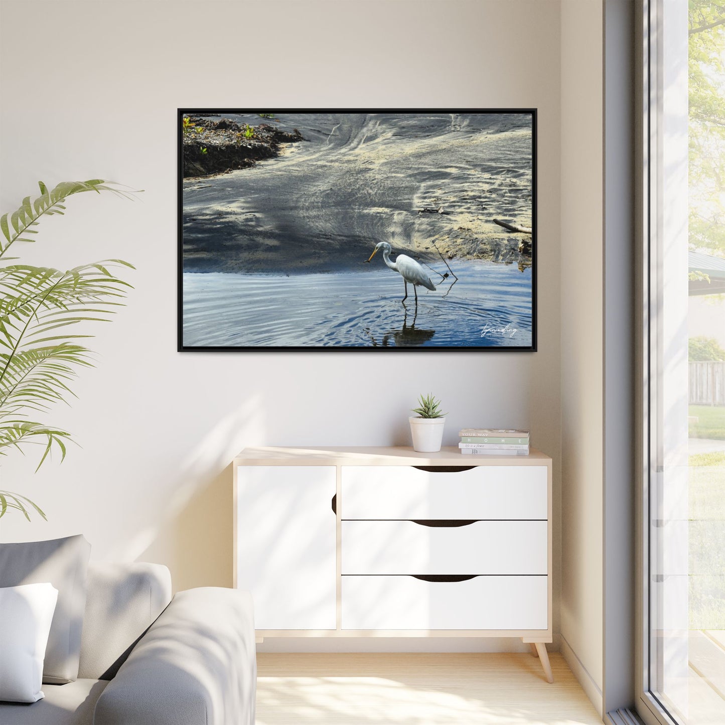 Lagoon Hunting - Puerto Rico