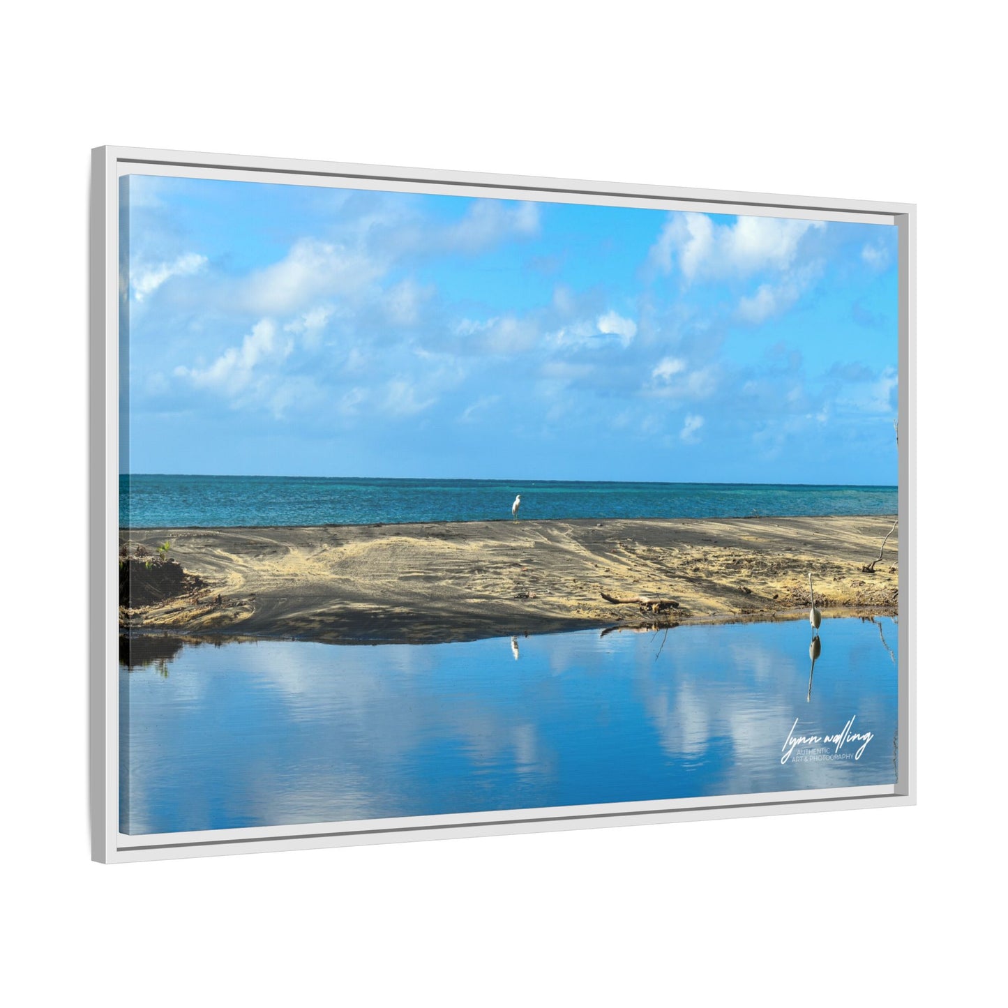 Wading - Puerto Rico