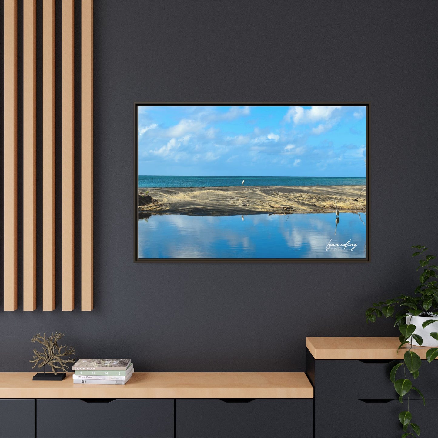 Wading - Puerto Rico