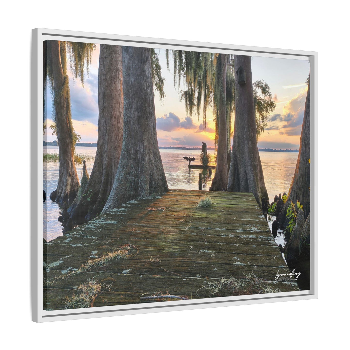 Eloise Sunset - Lakeland