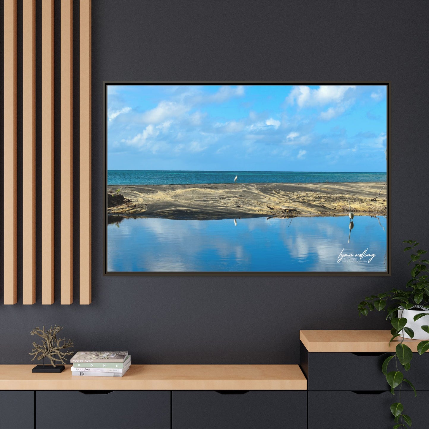 Wading - Puerto Rico