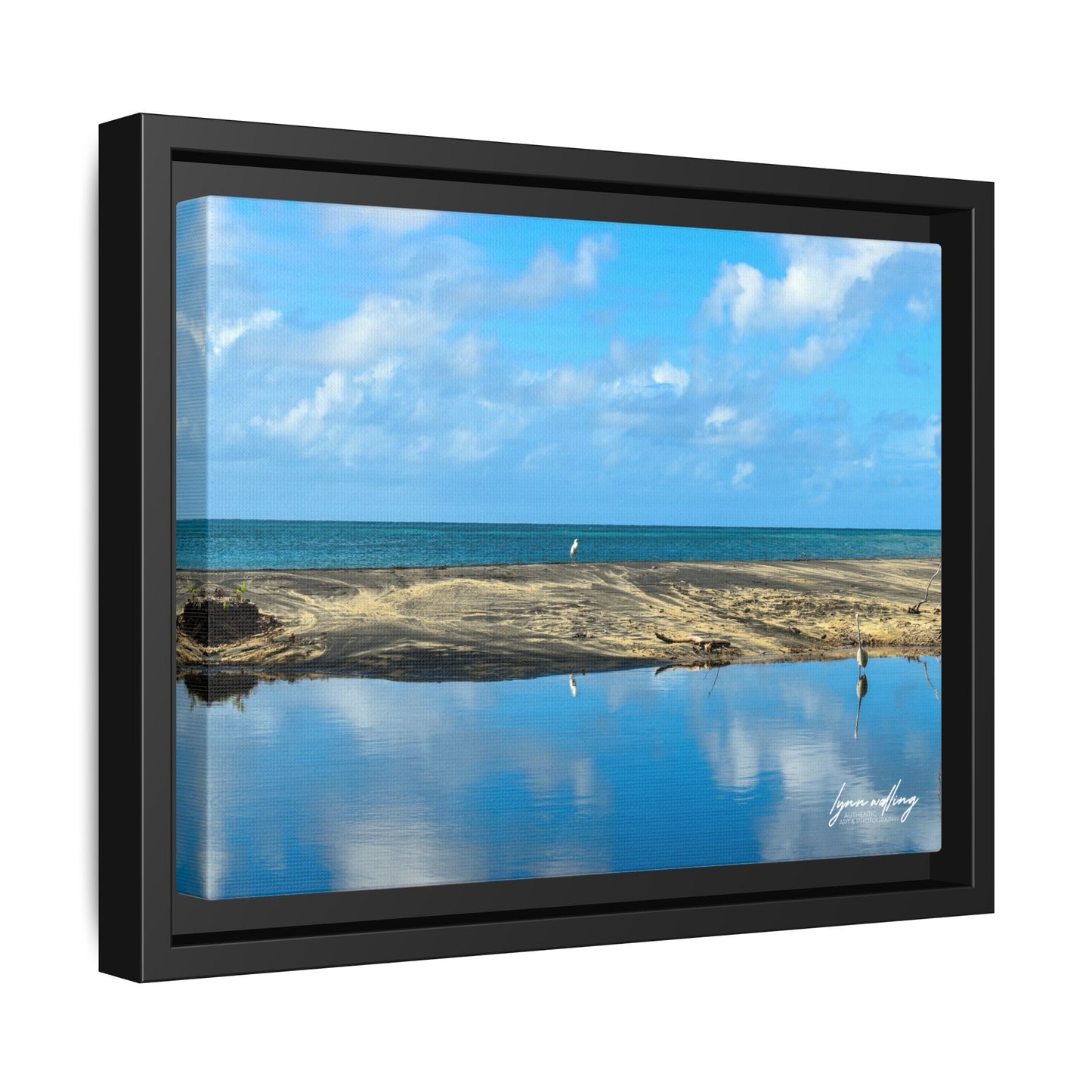 Wading - Puerto Rico