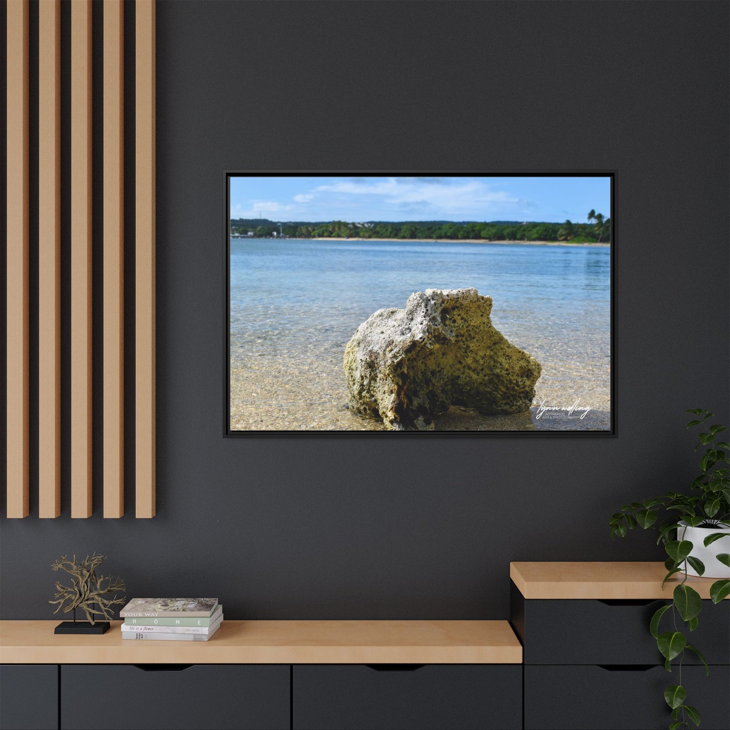 The View - Puerto Rico