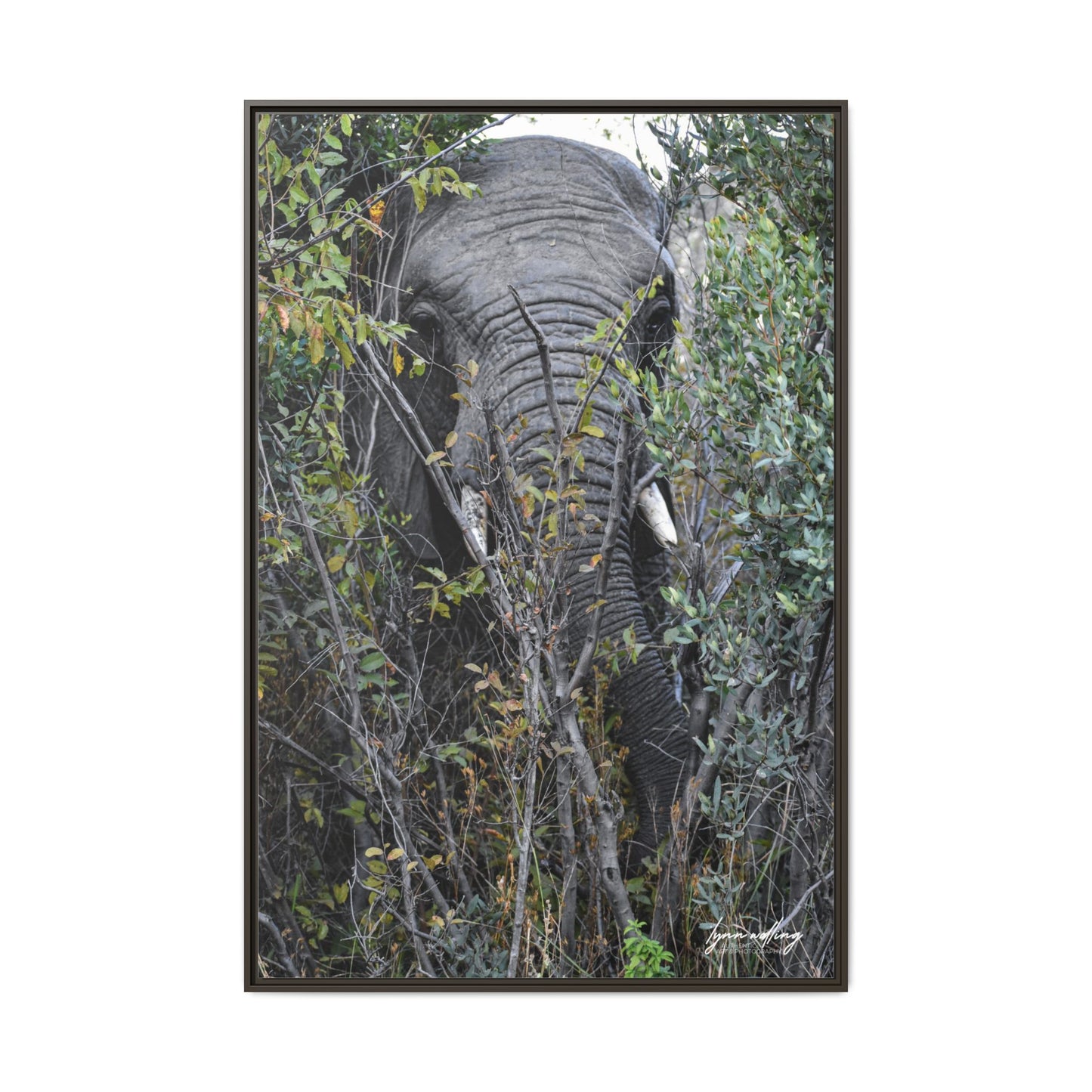 Eye to Eye - South Africa