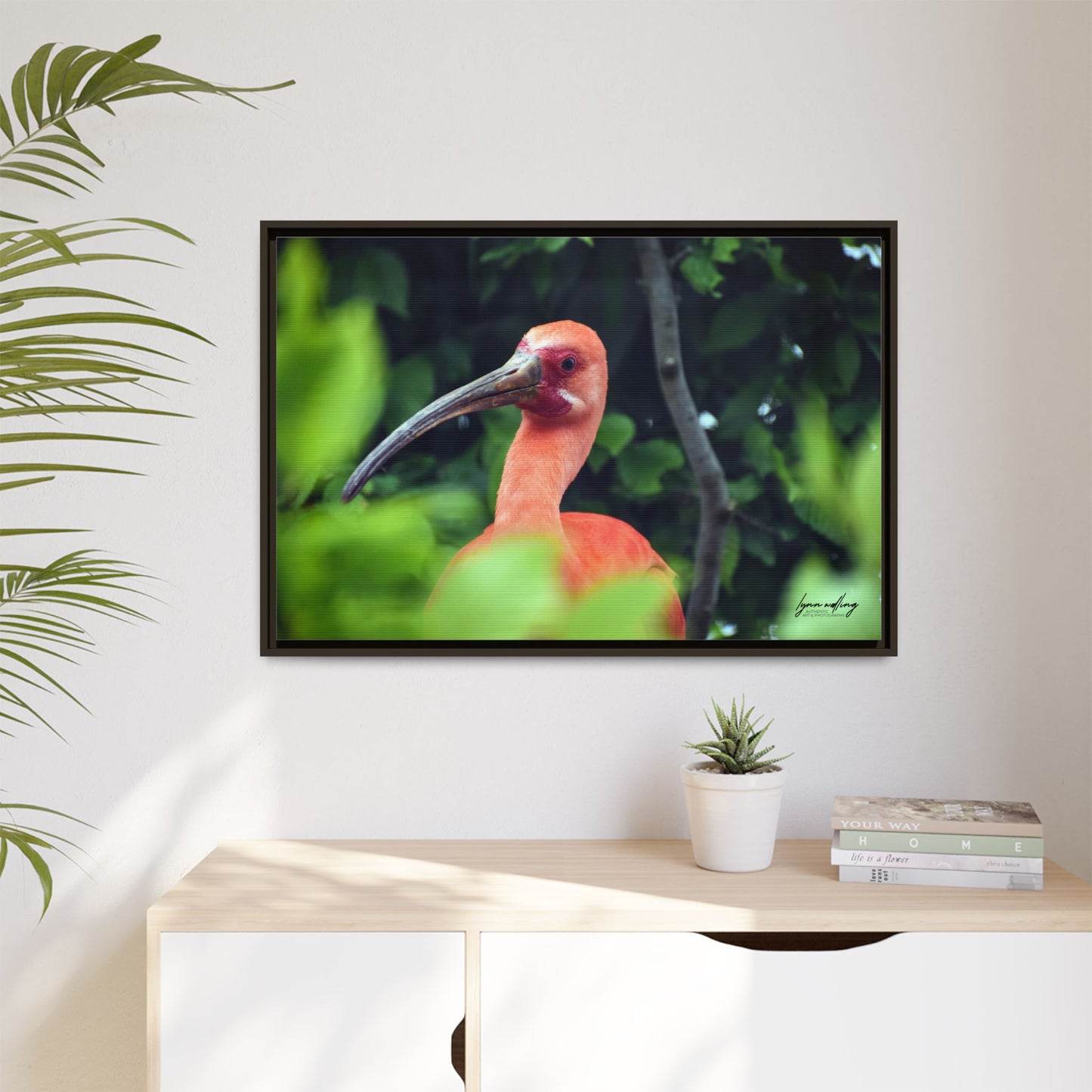 Wanna Be Flamingo - Switzerland