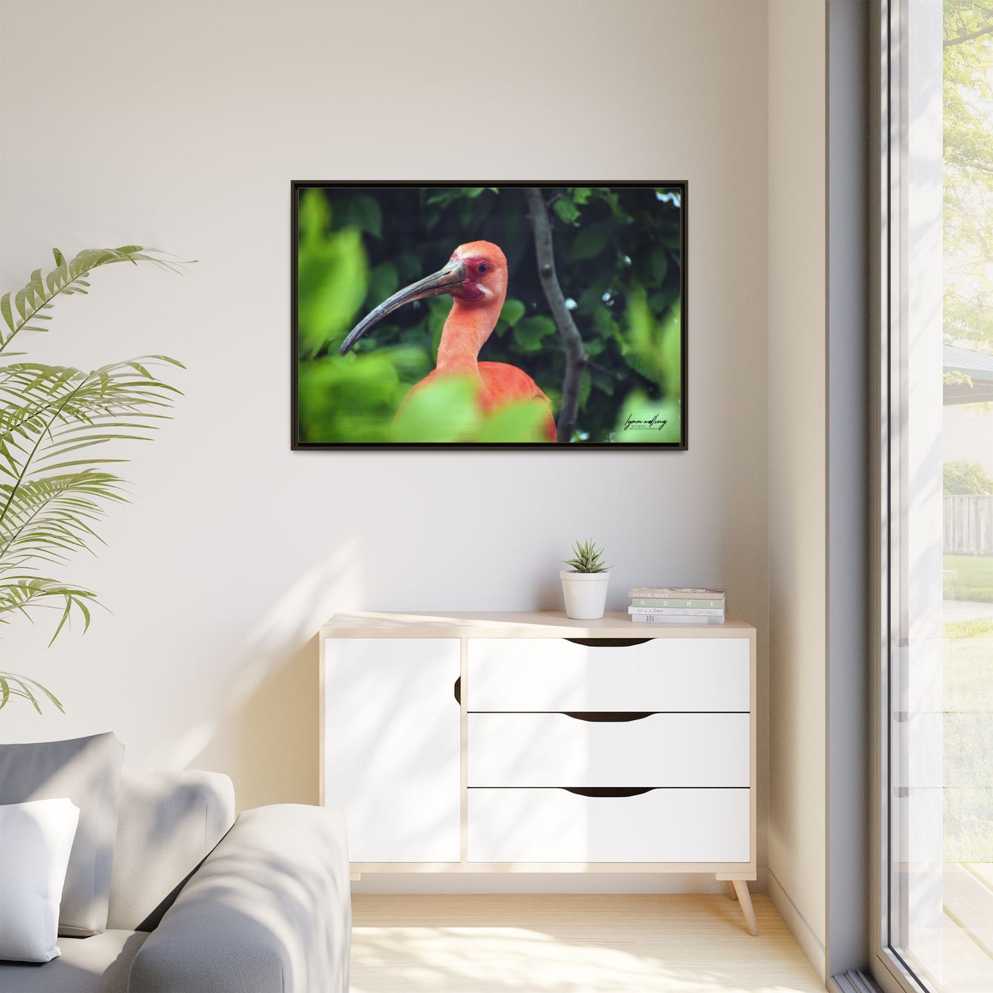 Wanna Be Flamingo - Switzerland