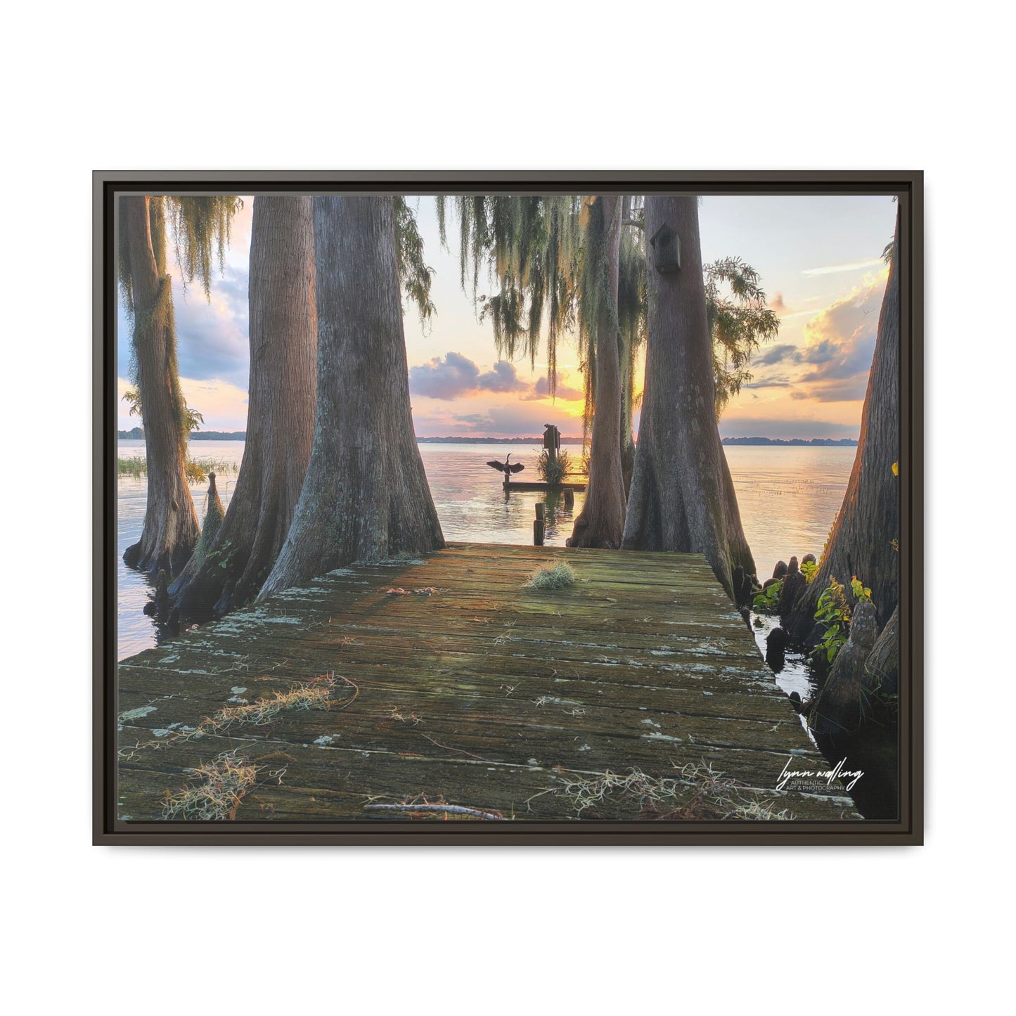 Eloise Sunset - Lakeland