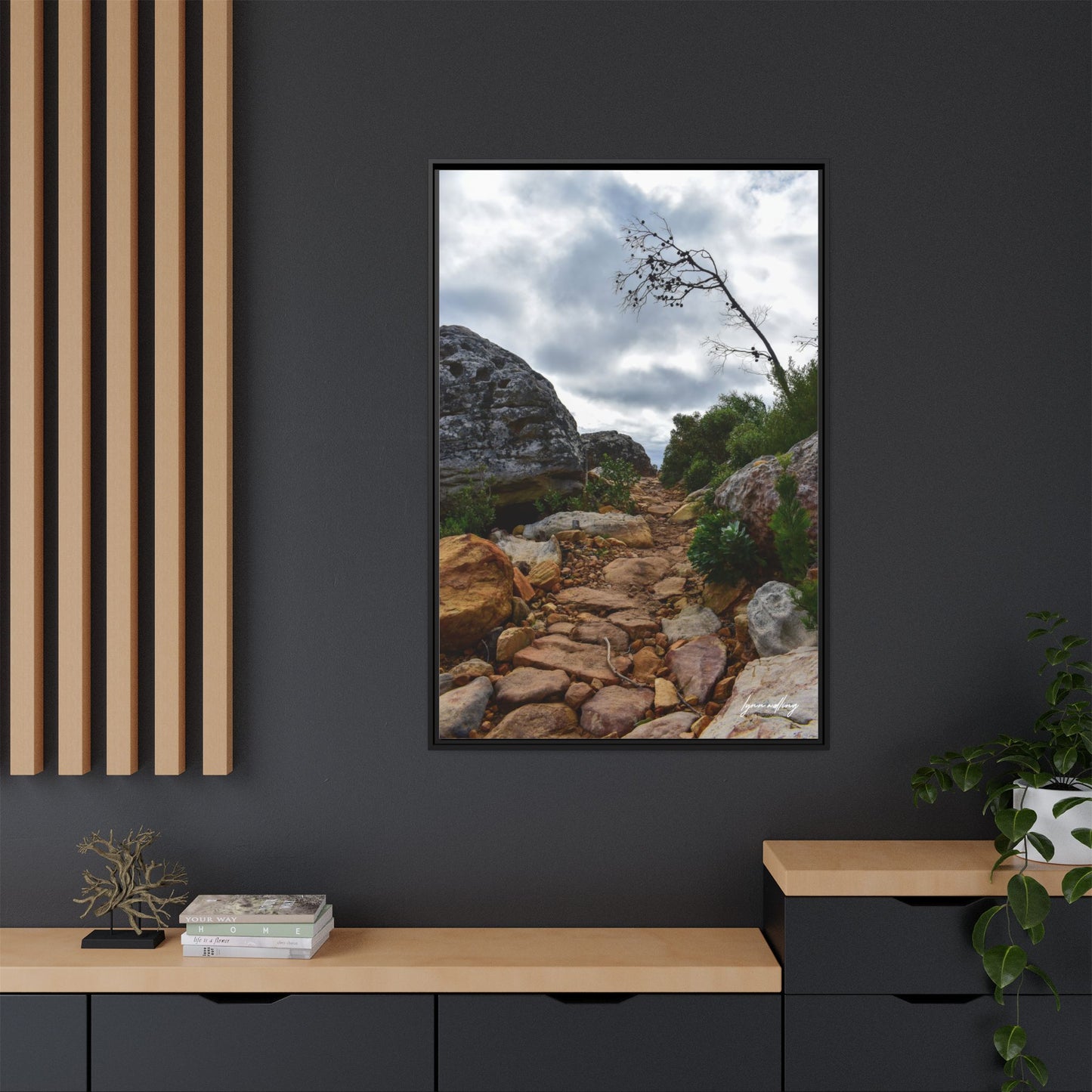 Path to Nowhere - Capetown