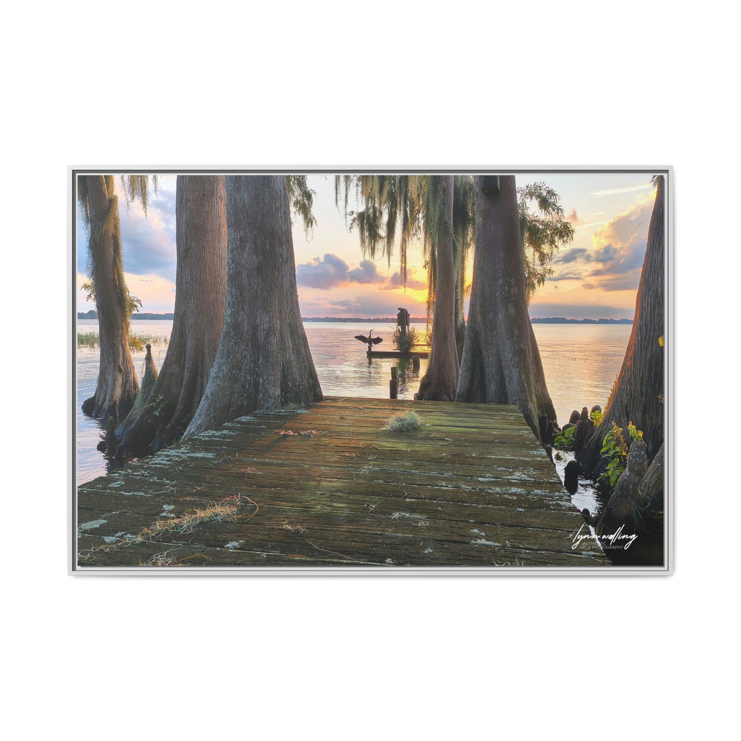 Eloise Sunset - Lakeland