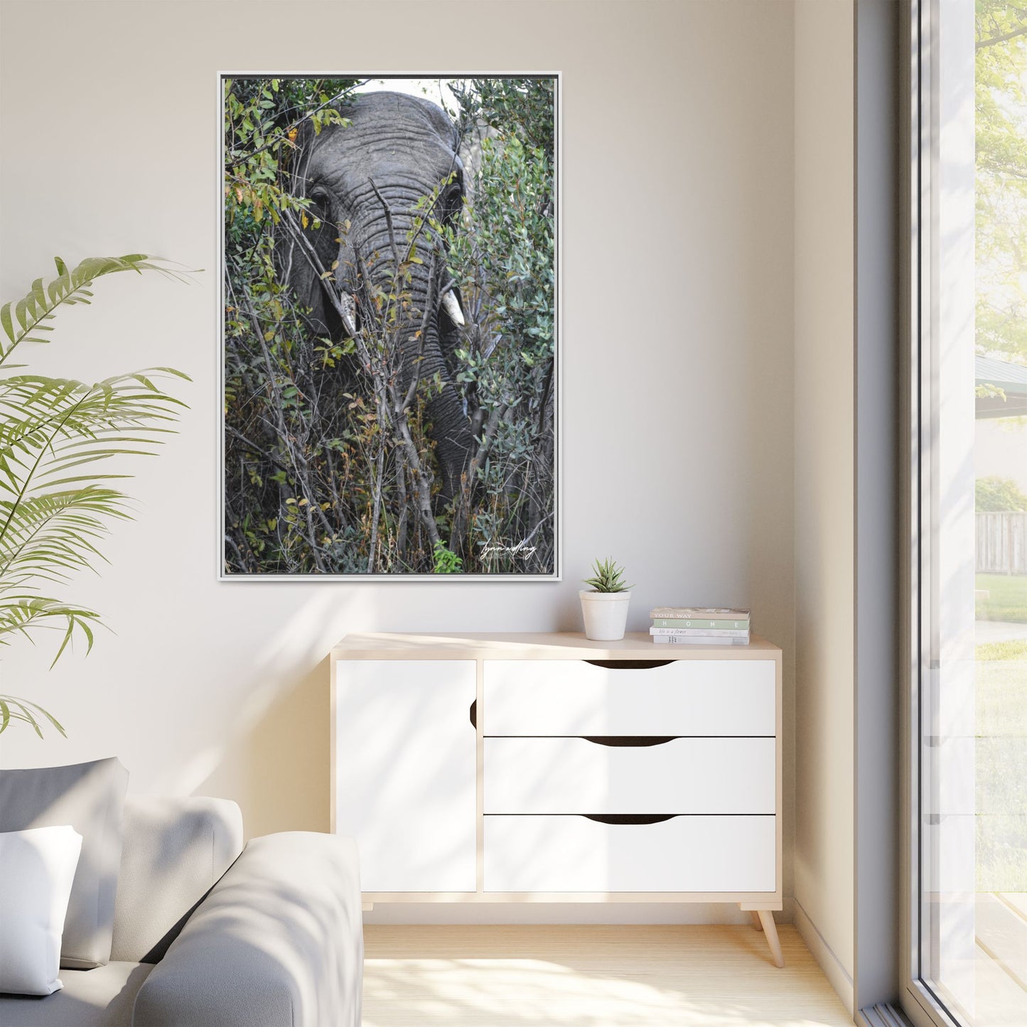 Eye to Eye - South Africa