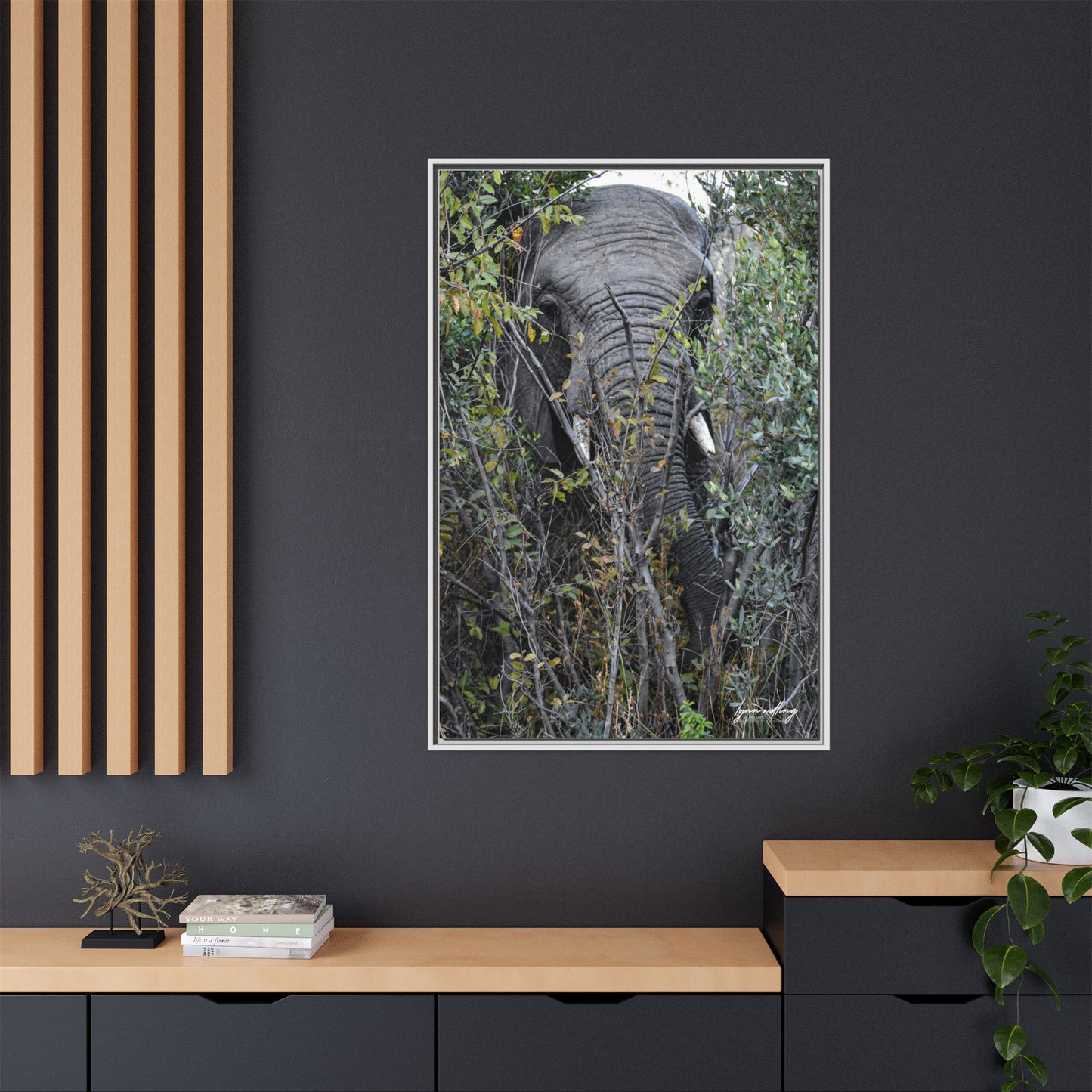 Eye to Eye - South Africa