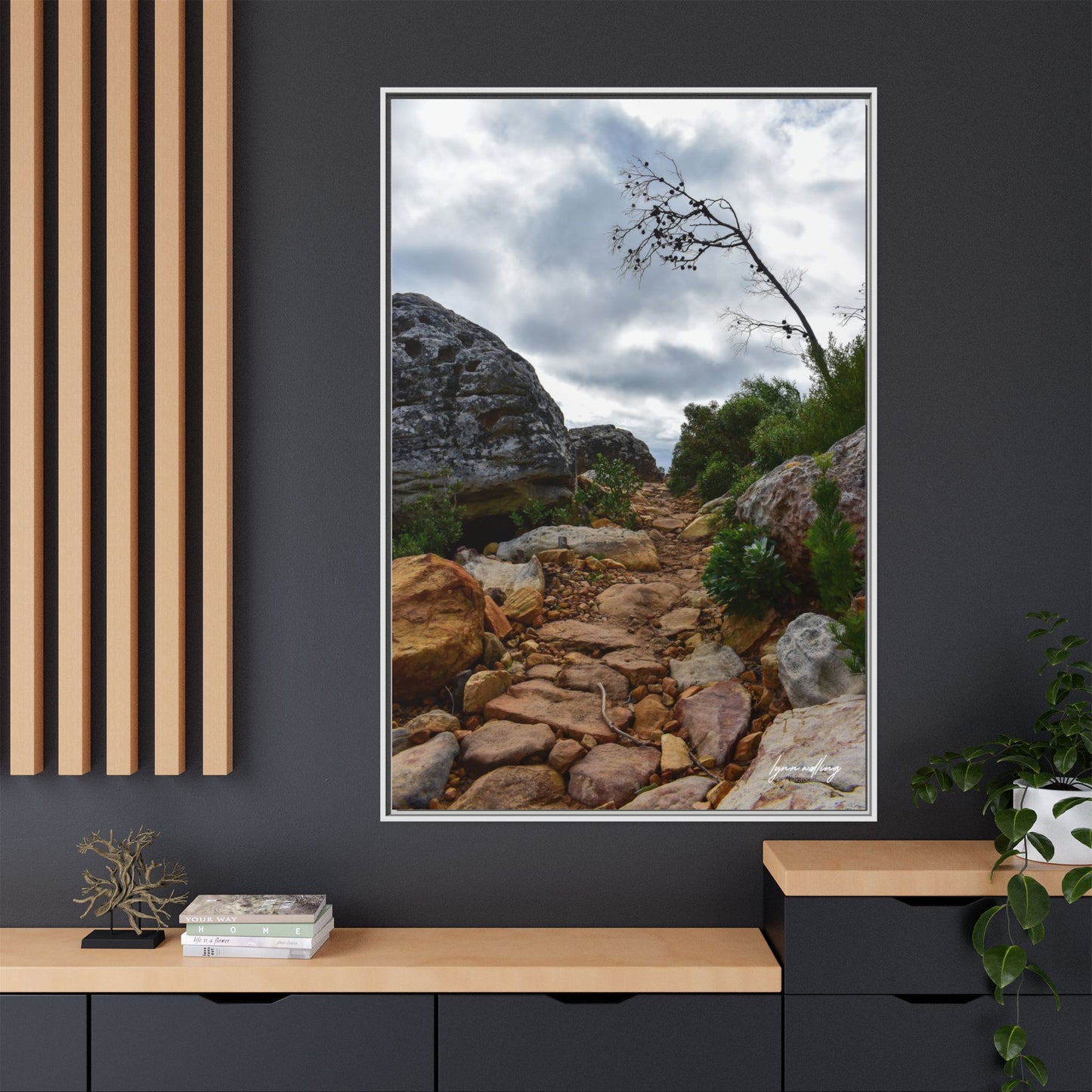 Path to Nowhere - Capetown