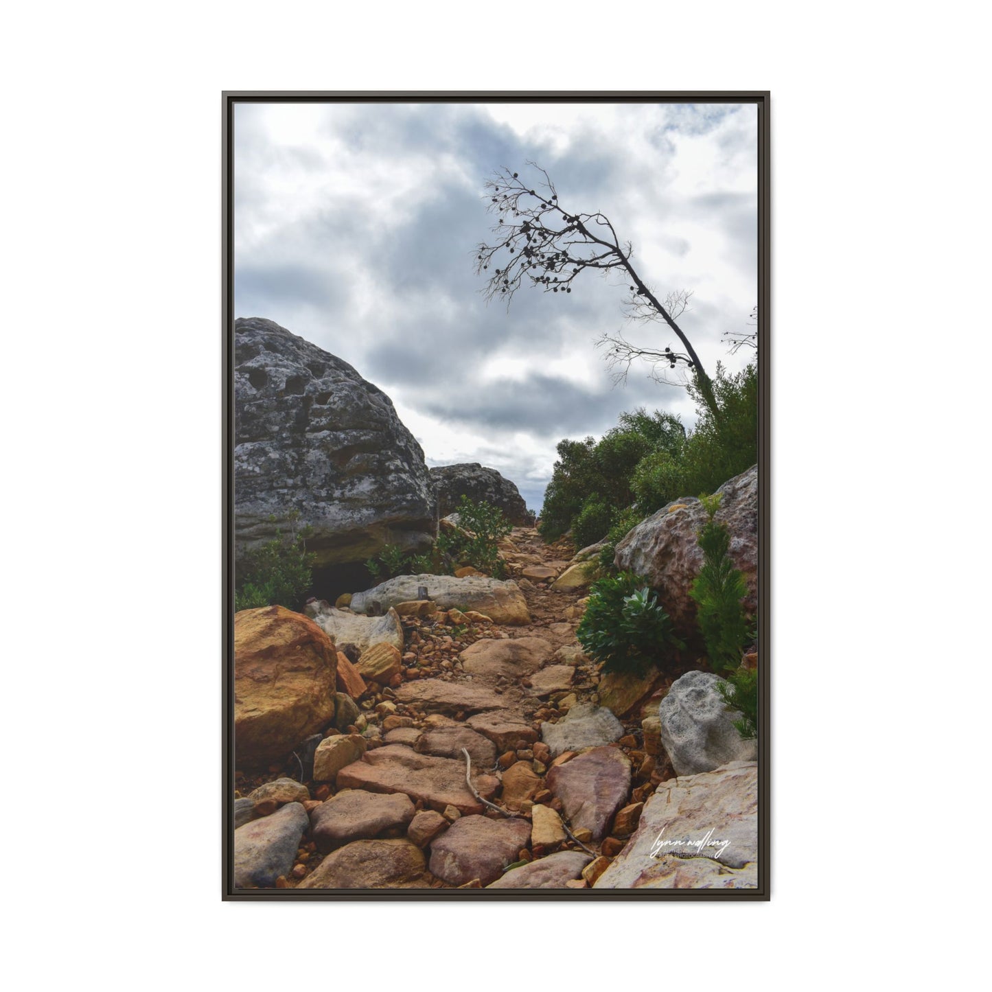 Path to Nowhere - Capetown